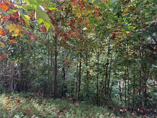 $99,900 | 0 Price Road, Moravian Falls, NC 28654