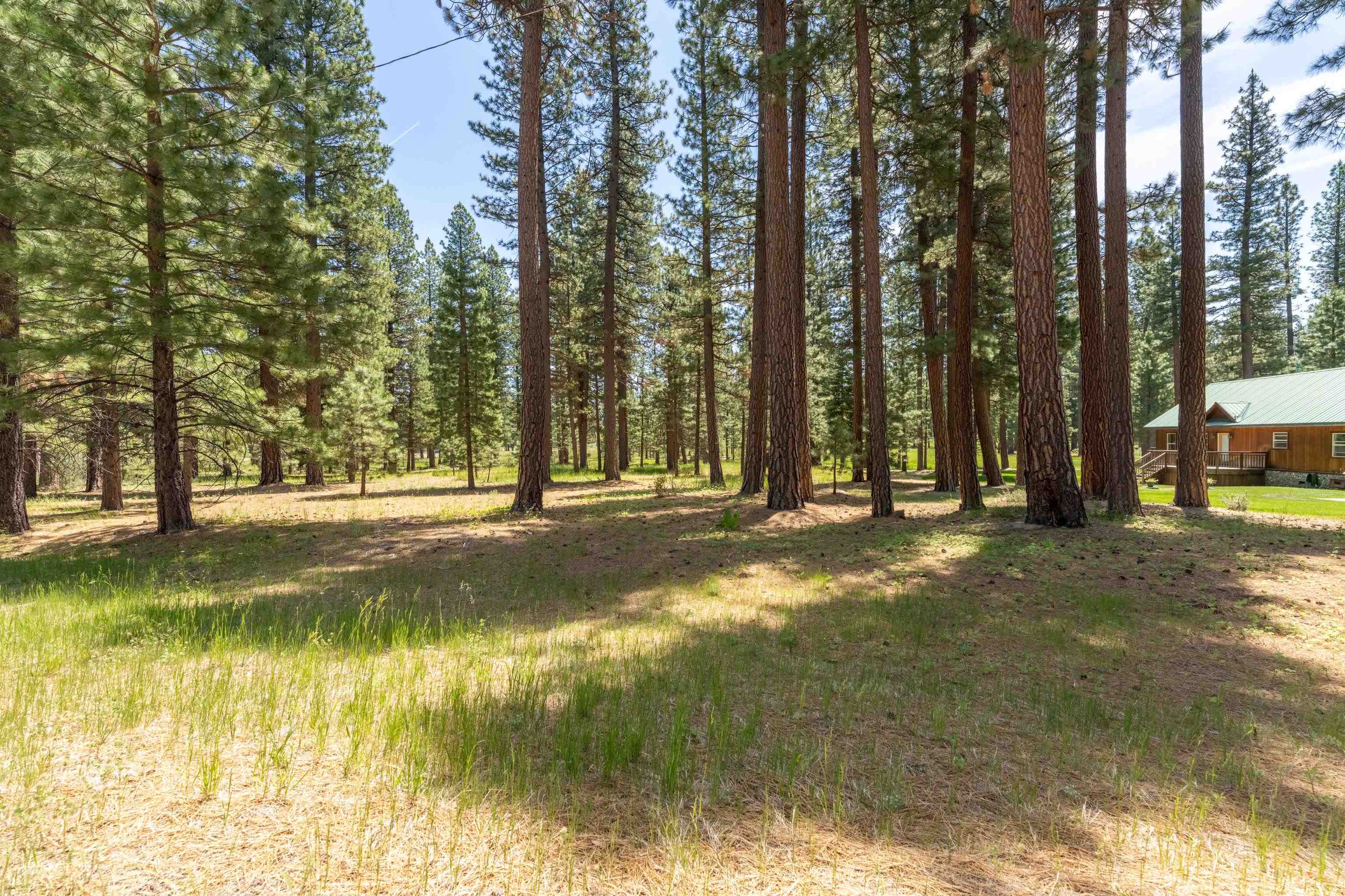 97 Main Street Calpine, CA 96124 - Photo 41 of 46