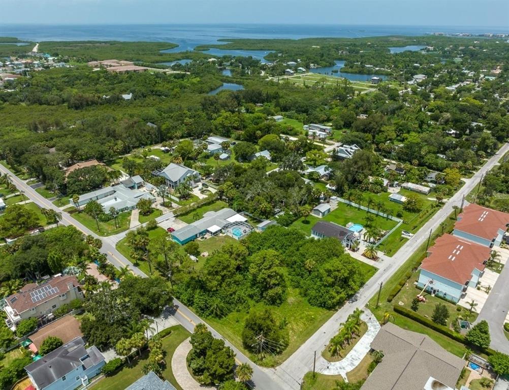 6307 Oelsner Street, Unit 11&12 New Port Richey, FL 34652 - Photo 5 of 11 a view of a city with lush green forest