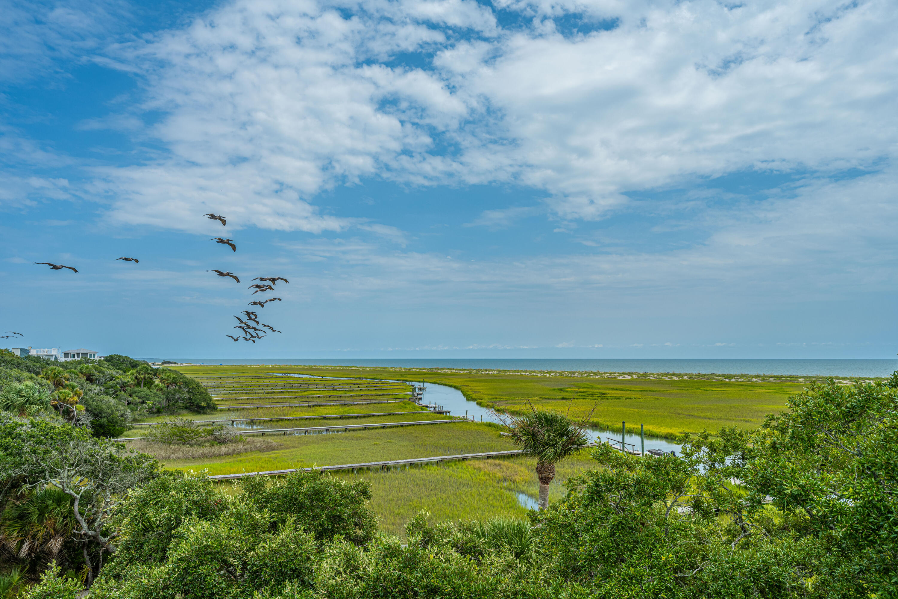 844 Hammocks Way Edisto Island, SC 29438 - Photo 52 of 76 844HammocksWay052