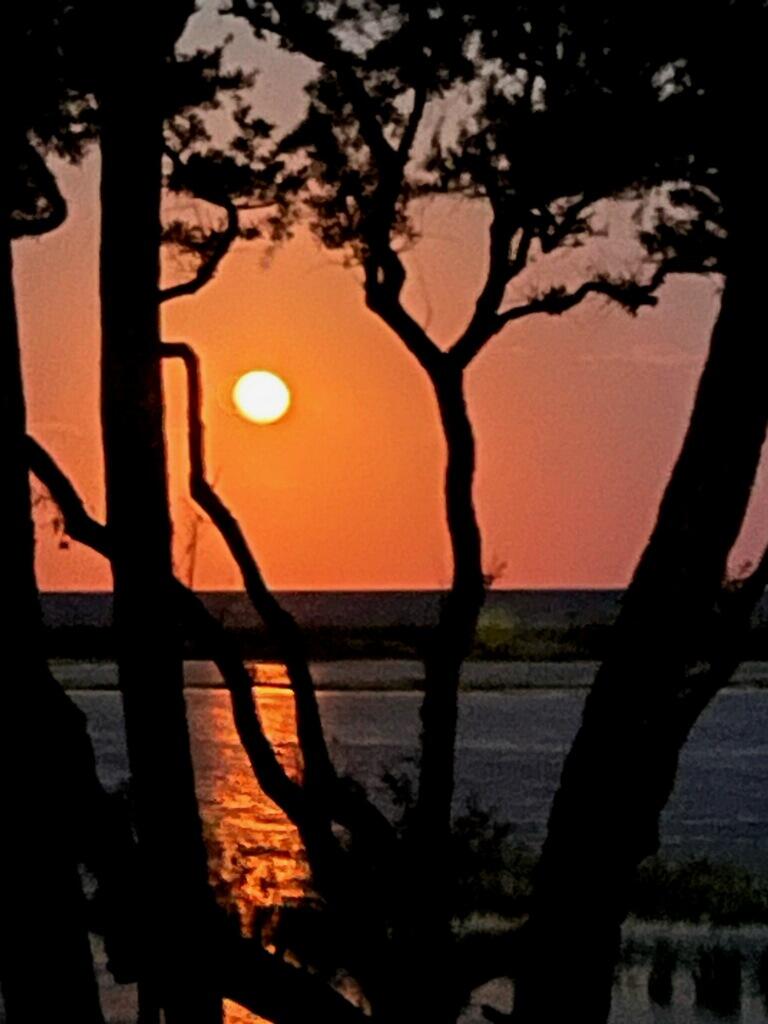 844 Hammocks Way Edisto Island, SC 29438 - Photo 76 of 76 imagejpeg_0 (1)