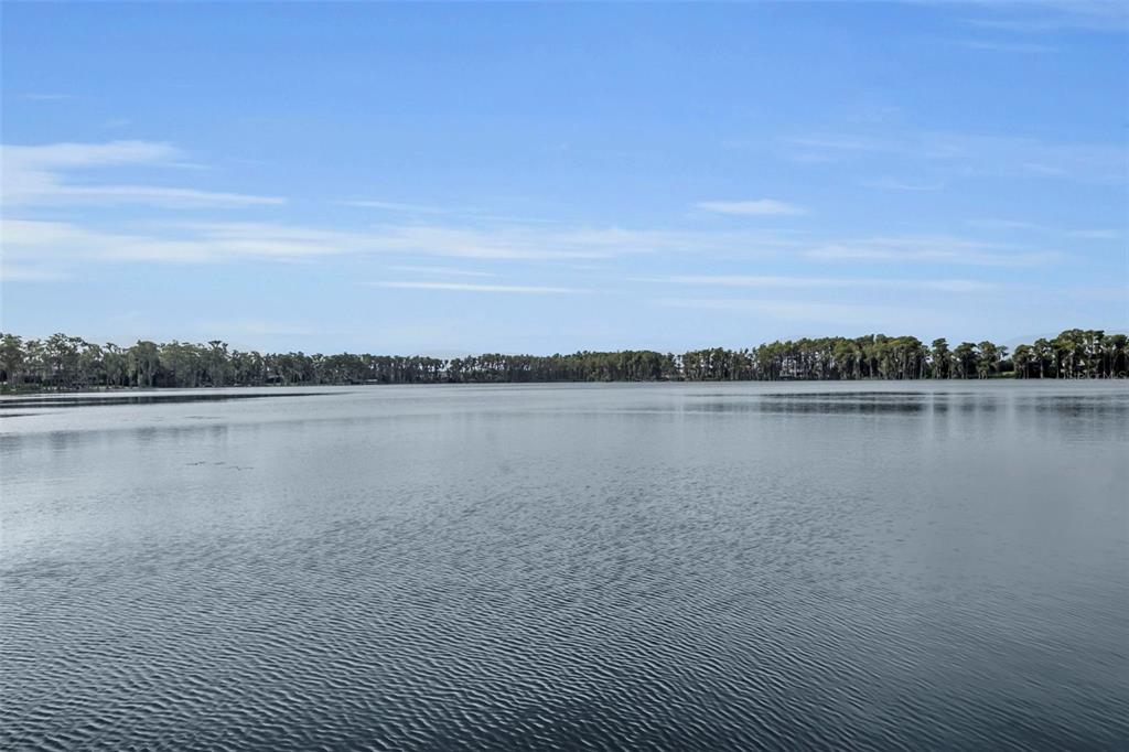 1134 Kelso Boulevard Windermere, FL 34786 - Photo 35 of 37