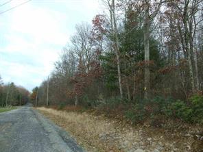 Lot #20 Cross Road Callicoon, NY 12723 - Photo 1 of 1 Gallery Image 1
