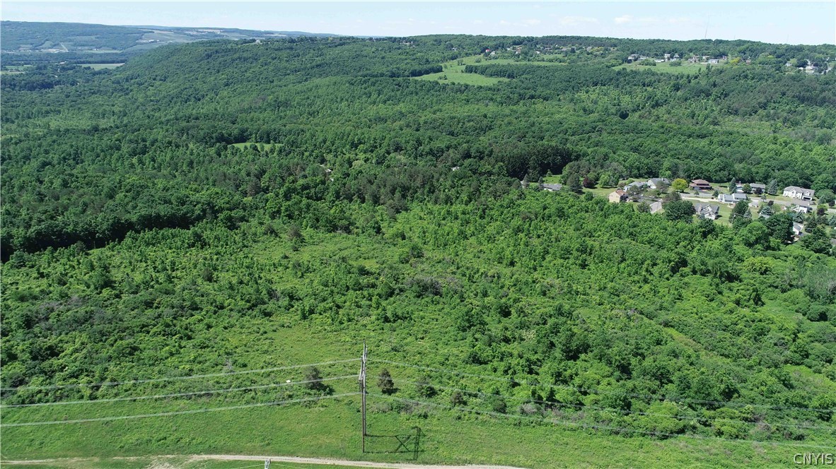 70-acres Cleveland Road Liverpool, NY 13088 - Photo 14 of 16 Gallery Image 14