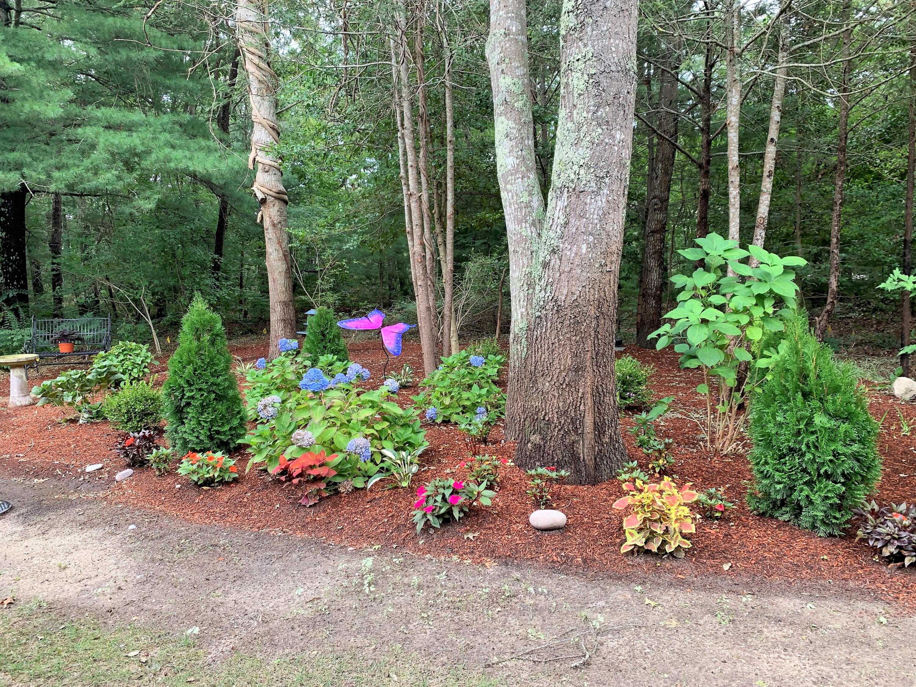 195 Falmouth Road, Unit 19D Mashpee, MA 02649 - Photo 17 of 17 a view of a garden with a tree