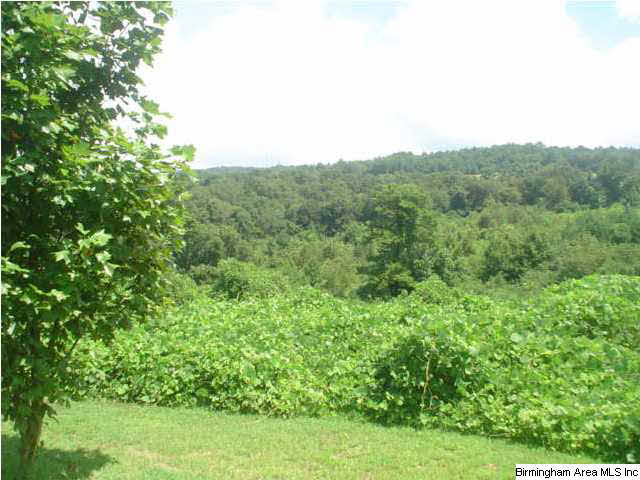 3205 Ebell Road Oneonta, AL 35121 - Photo 13 of 23 Gallery Image 13