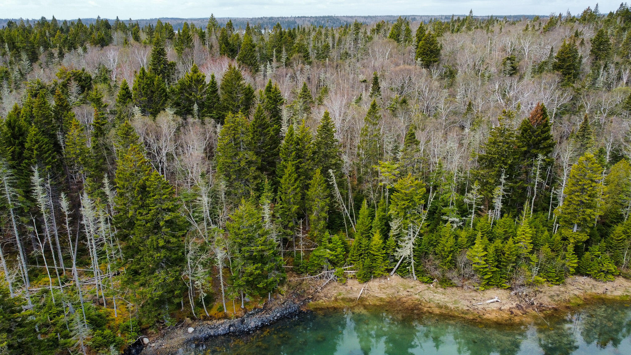 Lot 46 Yoho Head Road Machiasport, ME 04655 - Photo 7 of 22 7
