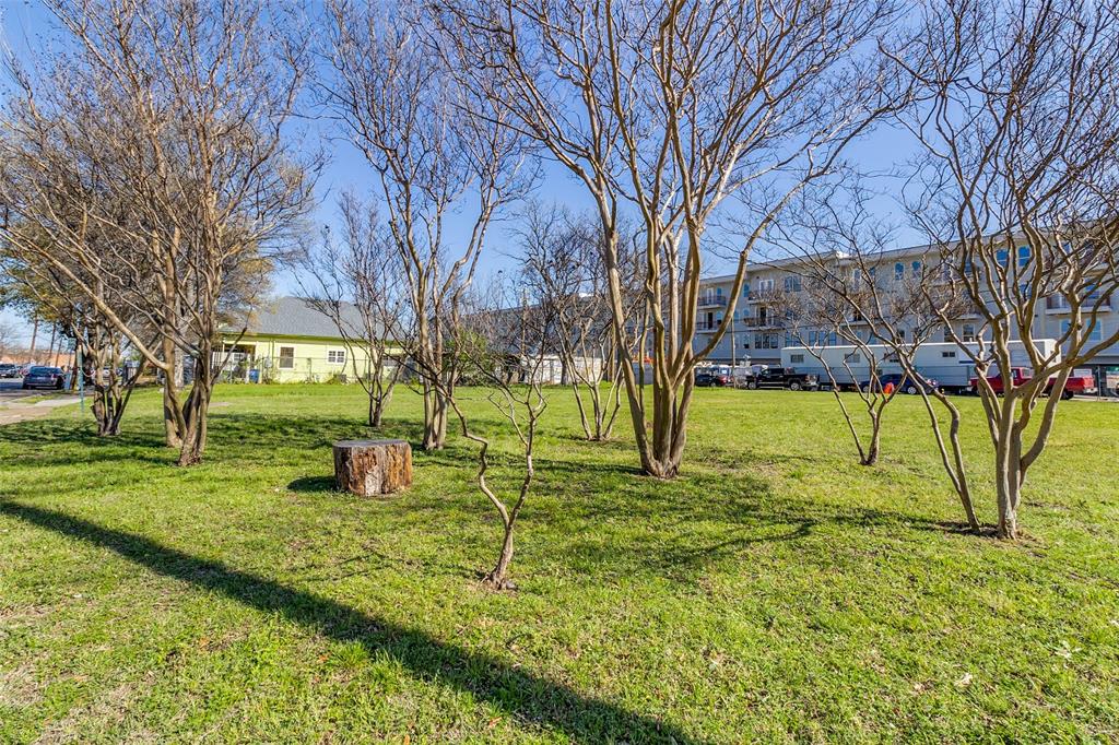 536 West 7th Street Dallas, TX 75208 - Photo 6 of 8