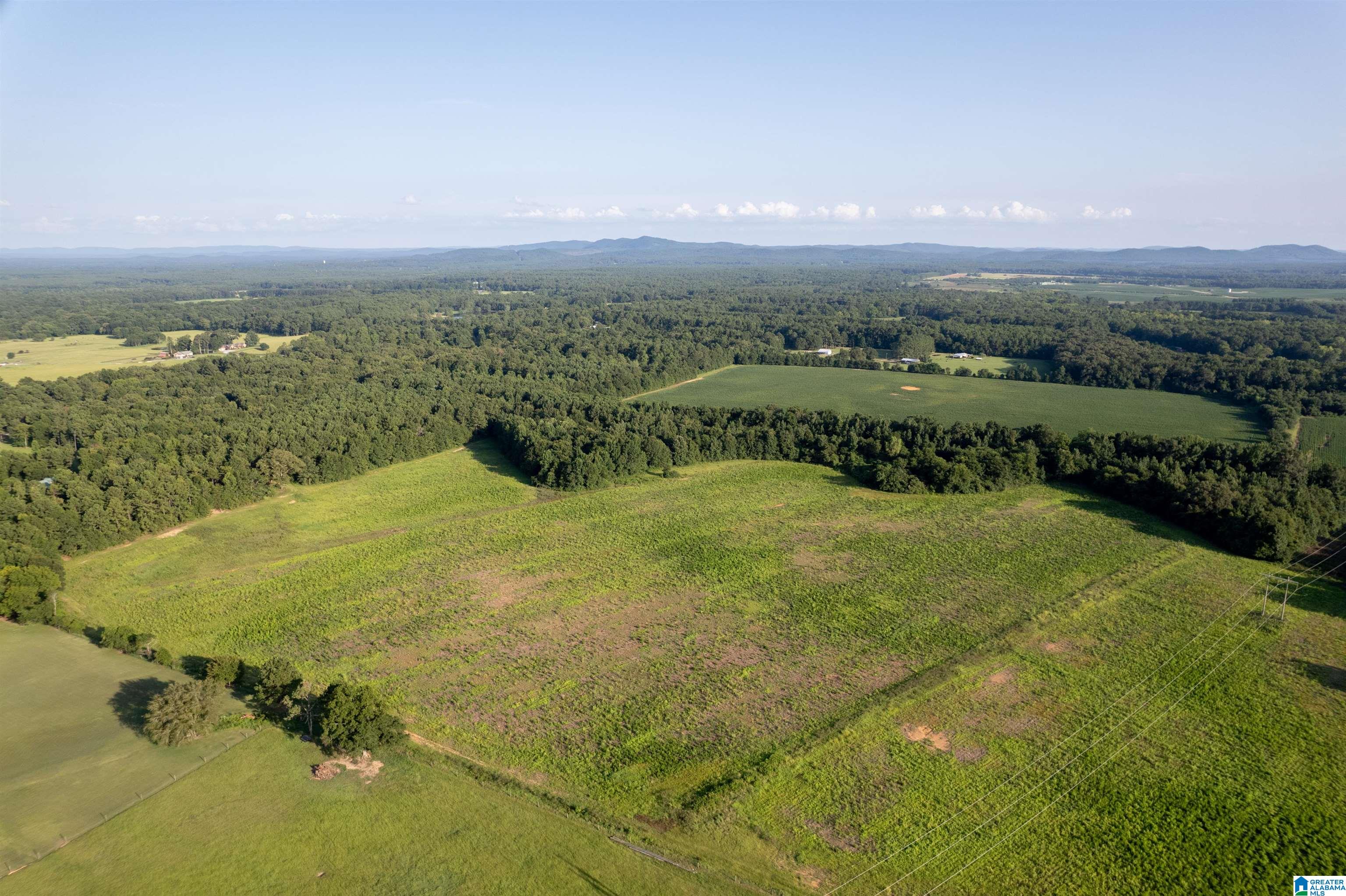 0 Sun Valley Road, Unit 1 Harpersville, AL 35078 - Photo 5 of 9