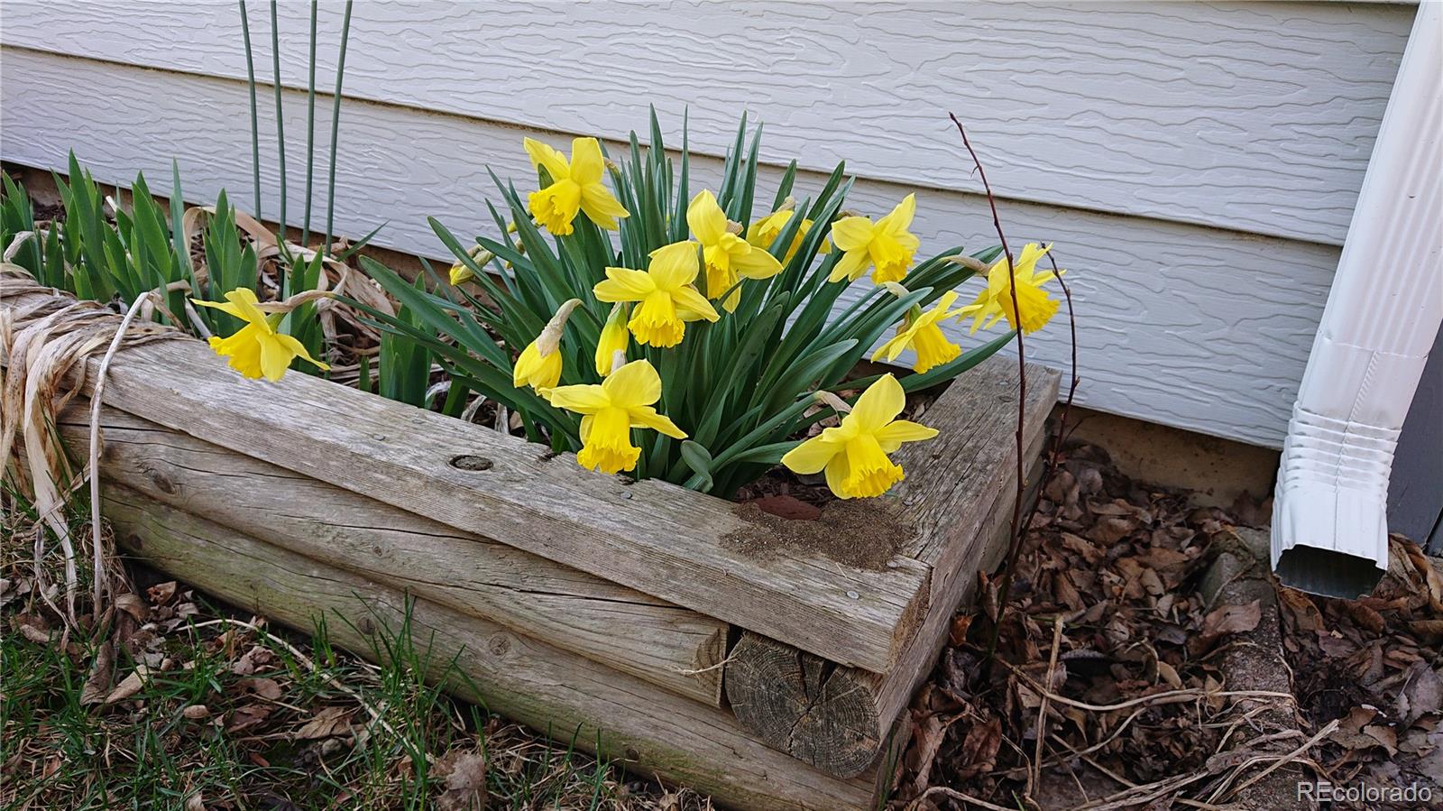 4693 Chatham Street Boulder, CO 80301 - Photo 36 of 41