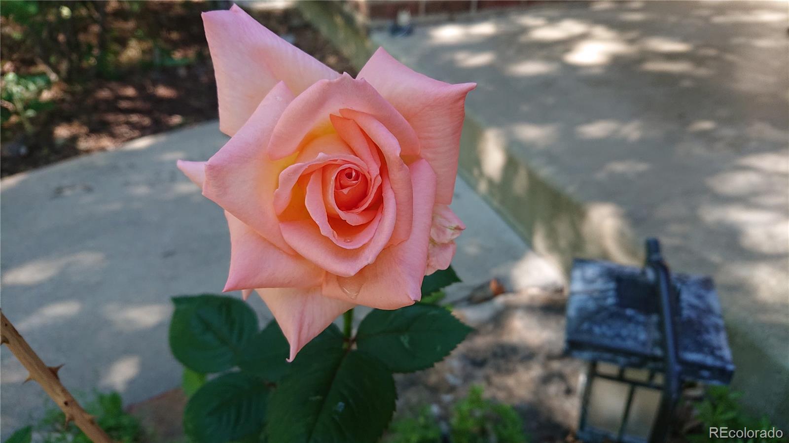 4693 Chatham Street Boulder, CO 80301 - Photo 37 of 41