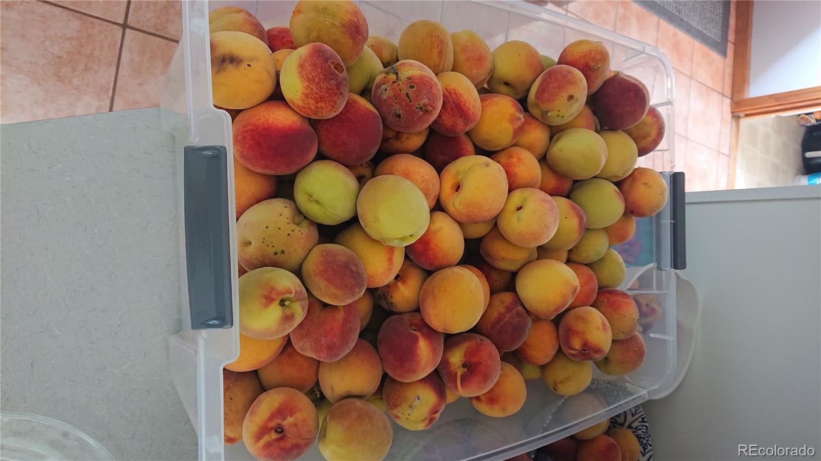 4693 Chatham Street Boulder, CO 80301 - Photo 38 of 41