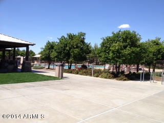 4348 South Rim Court Gilbert, AZ 85297 - Photo 23 of 25 Community Pool