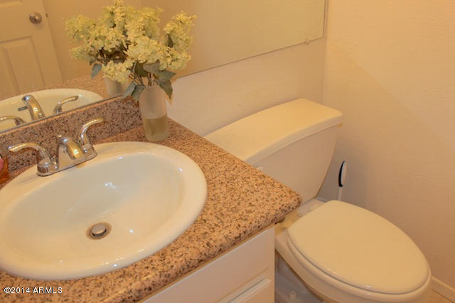 4348 South Rim Court Gilbert, AZ 85297 - Photo 8 of 25 Half Bath