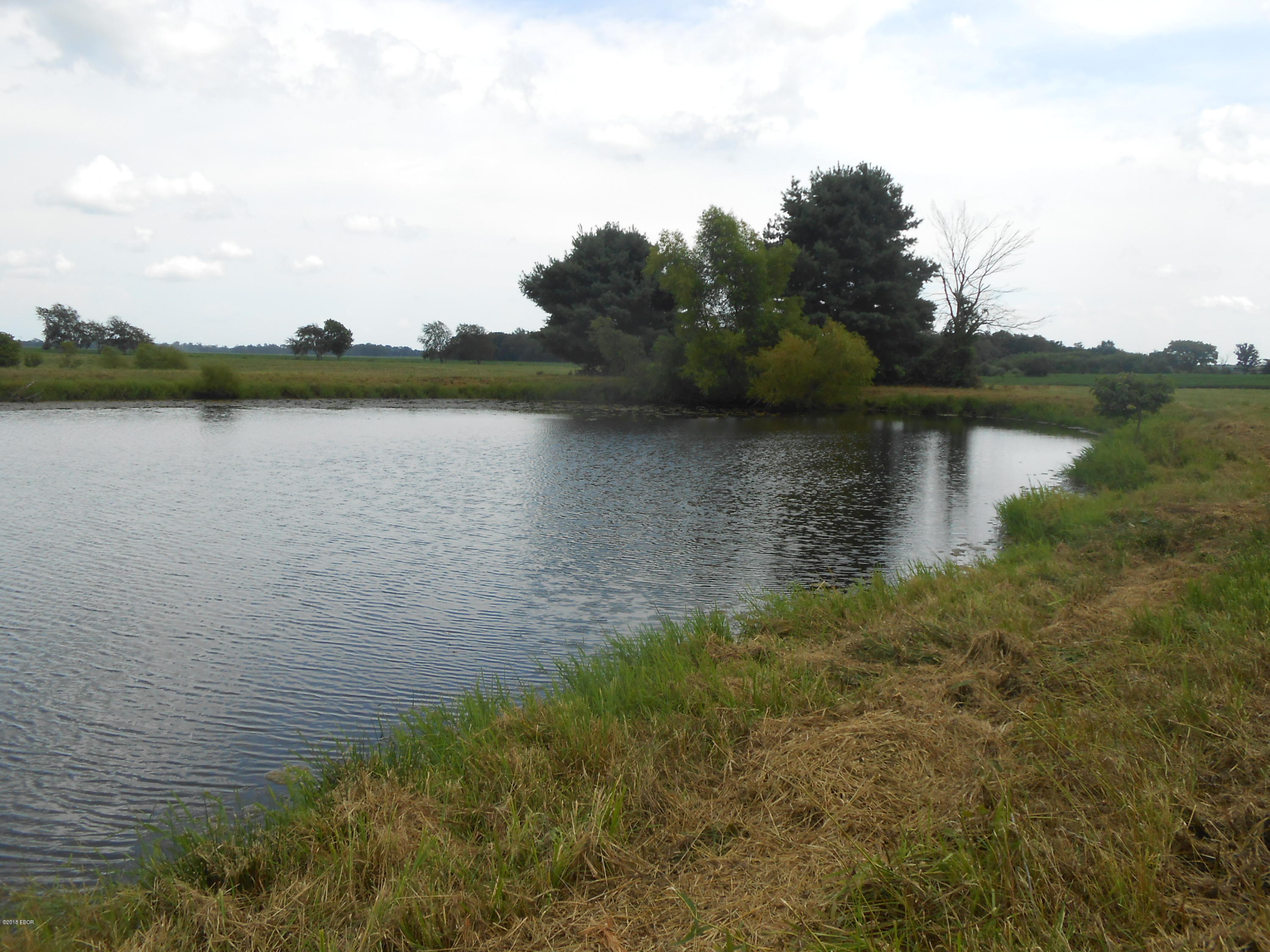 8068 Bluebird Road Tamaroa, IL 62888 - Photo 8 of 26