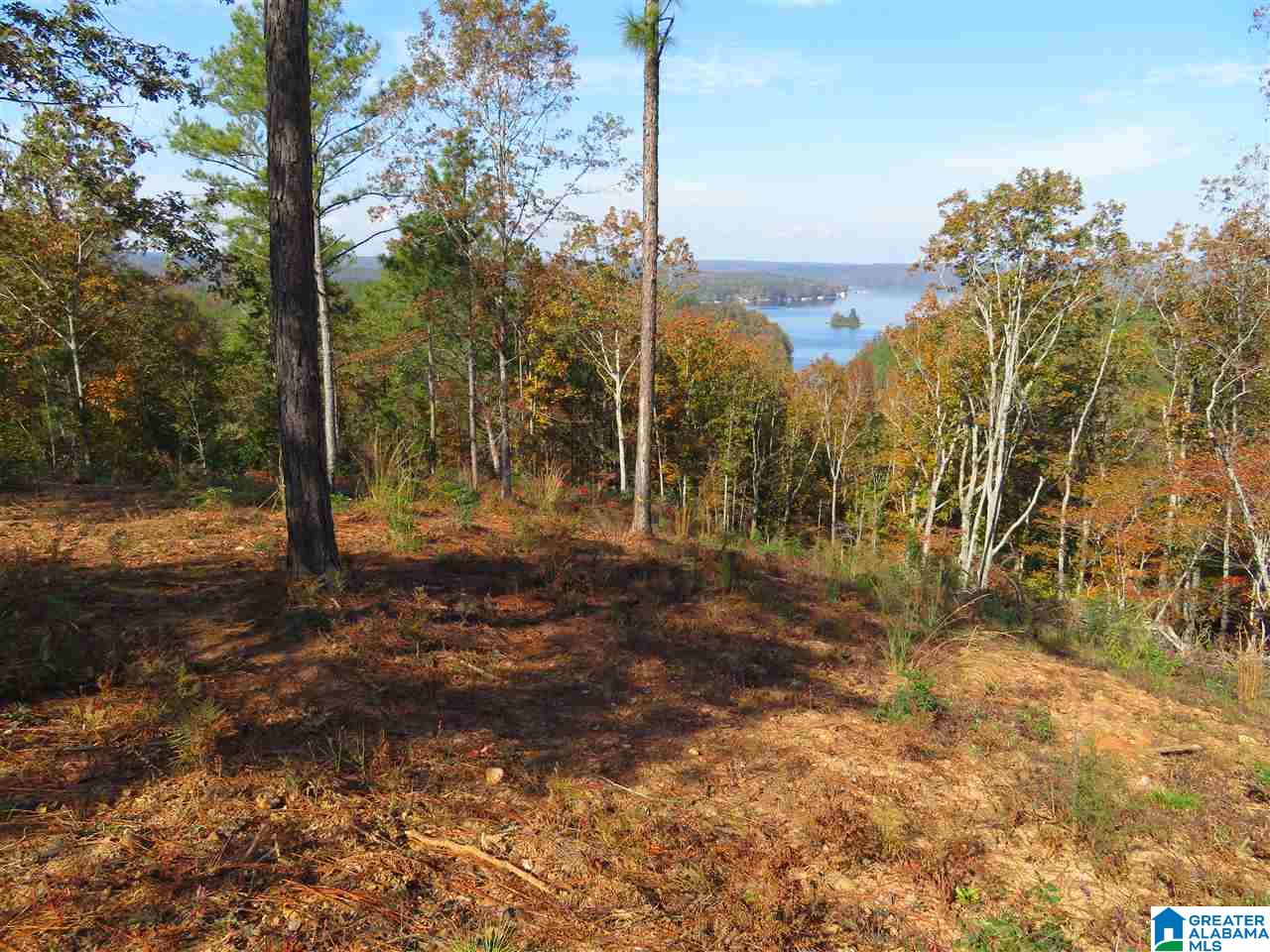 215 Eagle Mountain Road, Unit 4 Rockford, AL 35136 - Photo 8 of 11