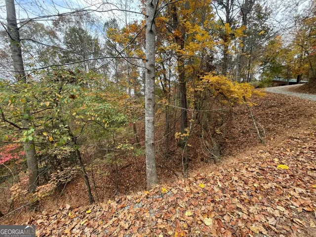 a view of a yard with plants and trees