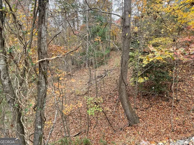 a backyard of a building