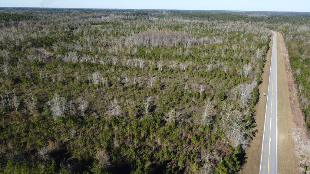 Lot 4 McMillan Road Lenox, GA 31637 - Photo 5 of 21 Gallery Image 5