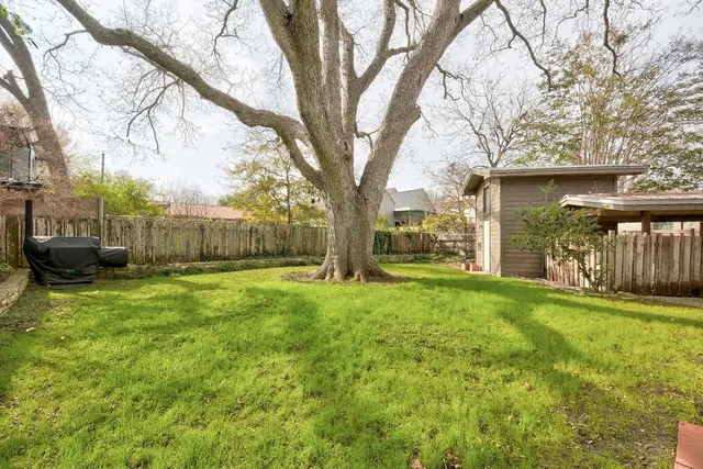 a view of backyard with table and chairs and a large tree