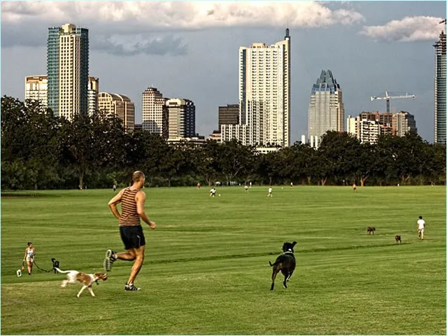 a lake view with a garden