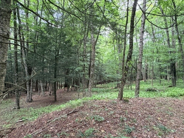 Lot 35 Webster Brook Road Bloomville, NY 13739 - Photo 35 of 42