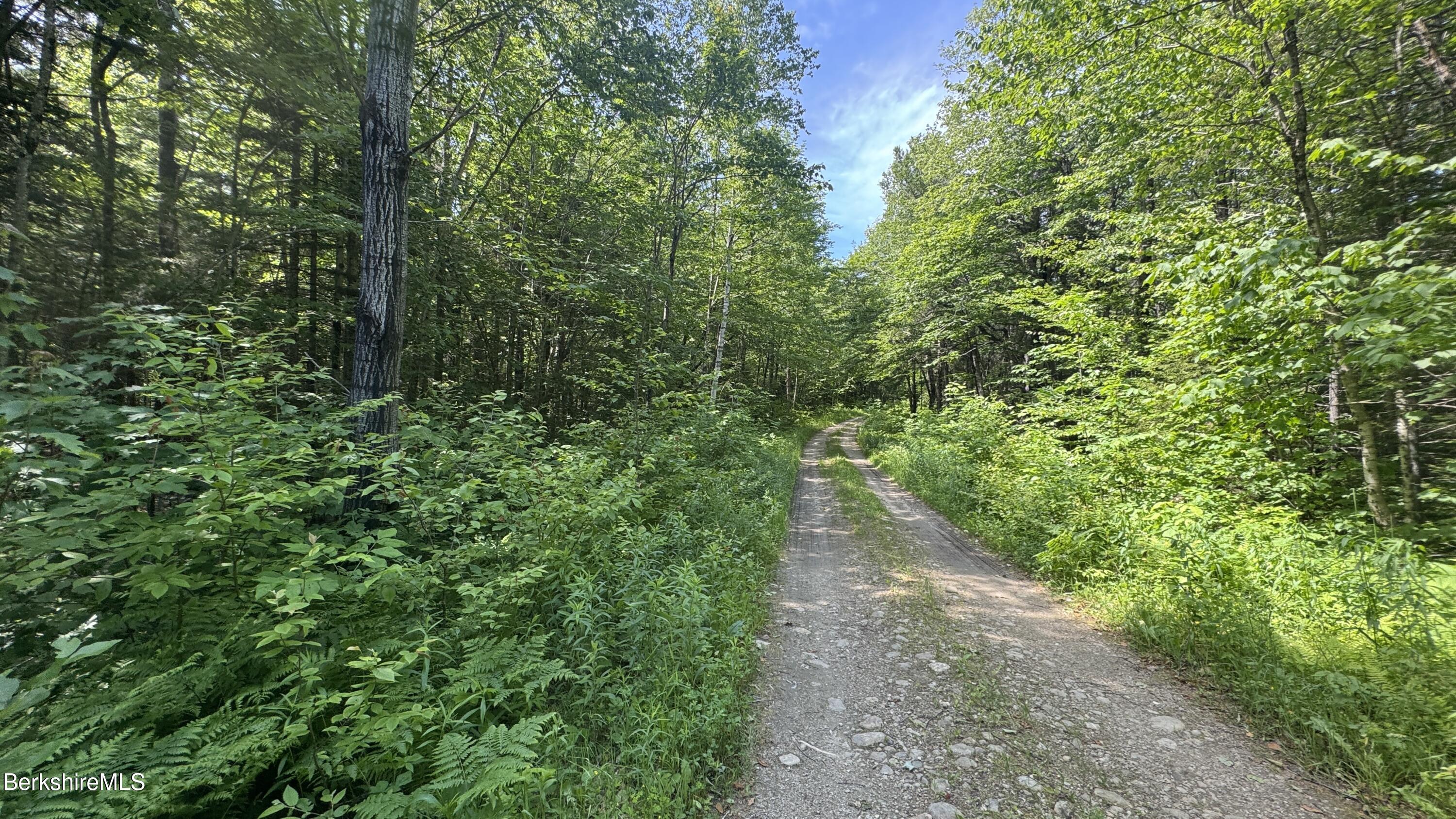 view from road