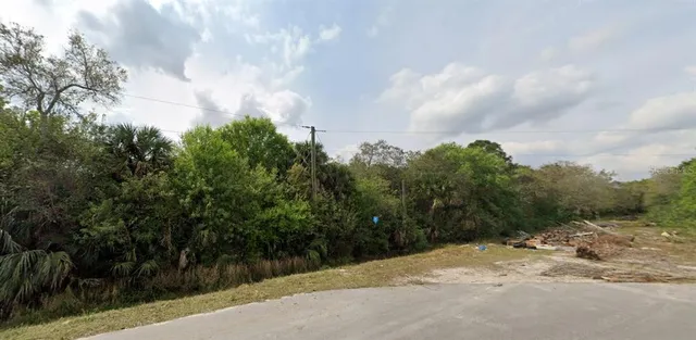 a view of a dry yard with trees in the background