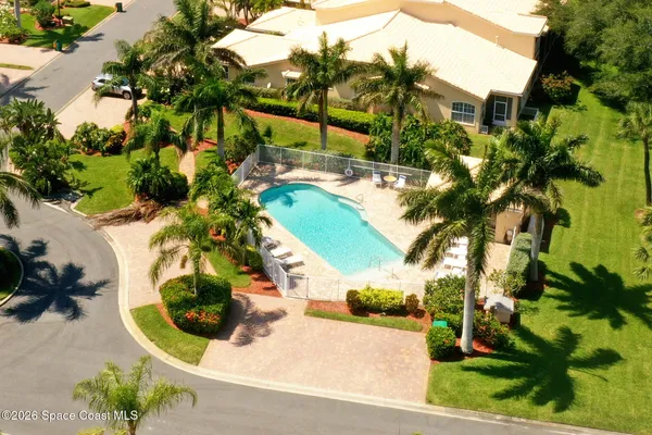 a view of a swimming pool with a lawn chairs under palm trees