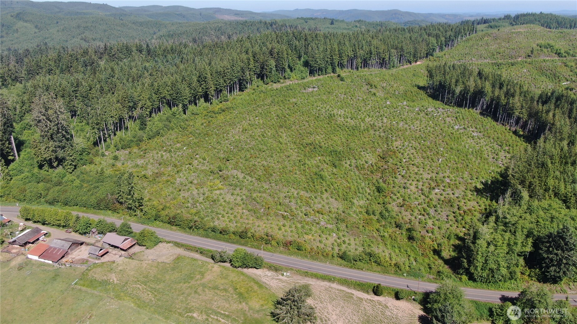 0 Butte Creek Road Raymond, WA 98577 - Photo 1 of 11 a view of a back yard from a balcony
