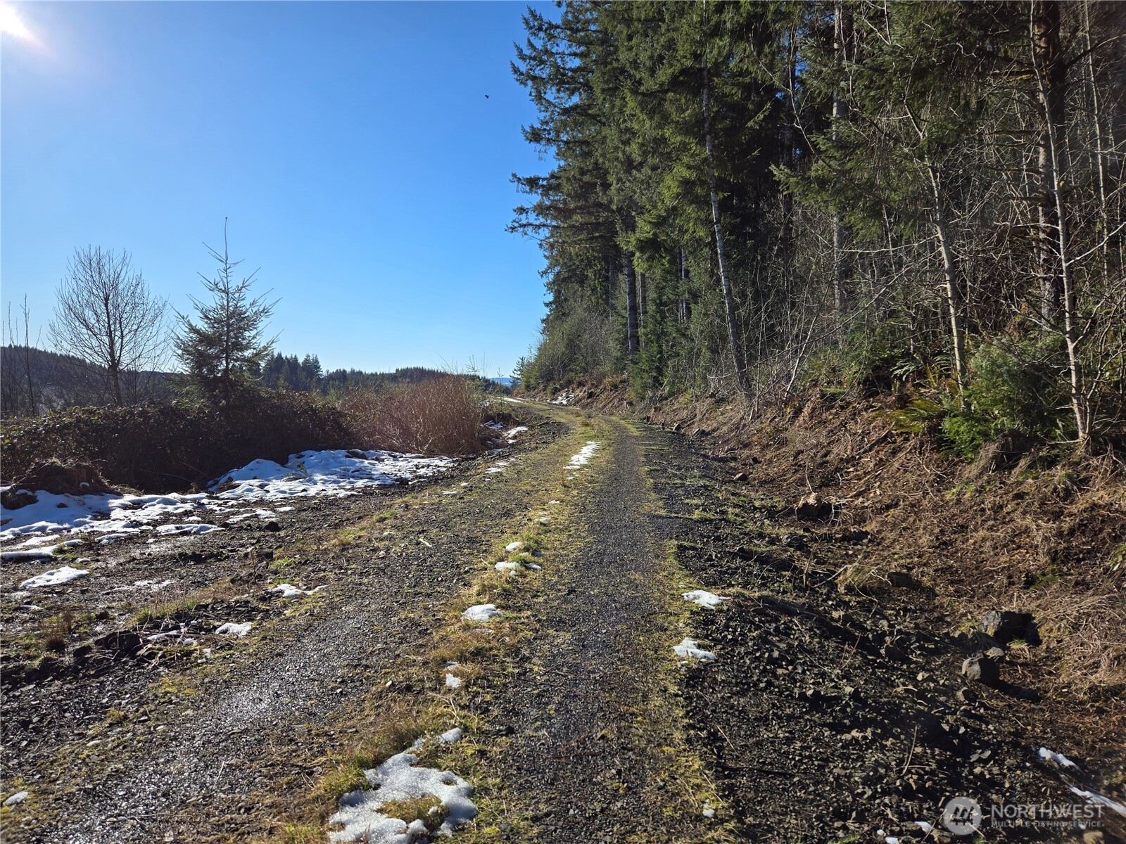 0 Butte Creek Road Raymond, WA 98577 - Photo 11 of 11 a view of mountain view with lots of trees