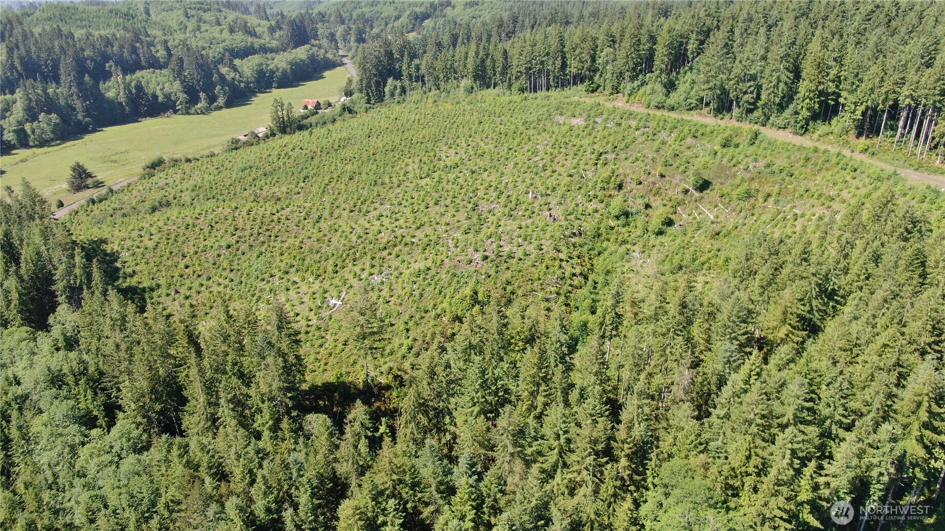 0 Butte Creek Road Raymond, WA 98577 - Photo 3 of 11 a view of a yard with a tree
