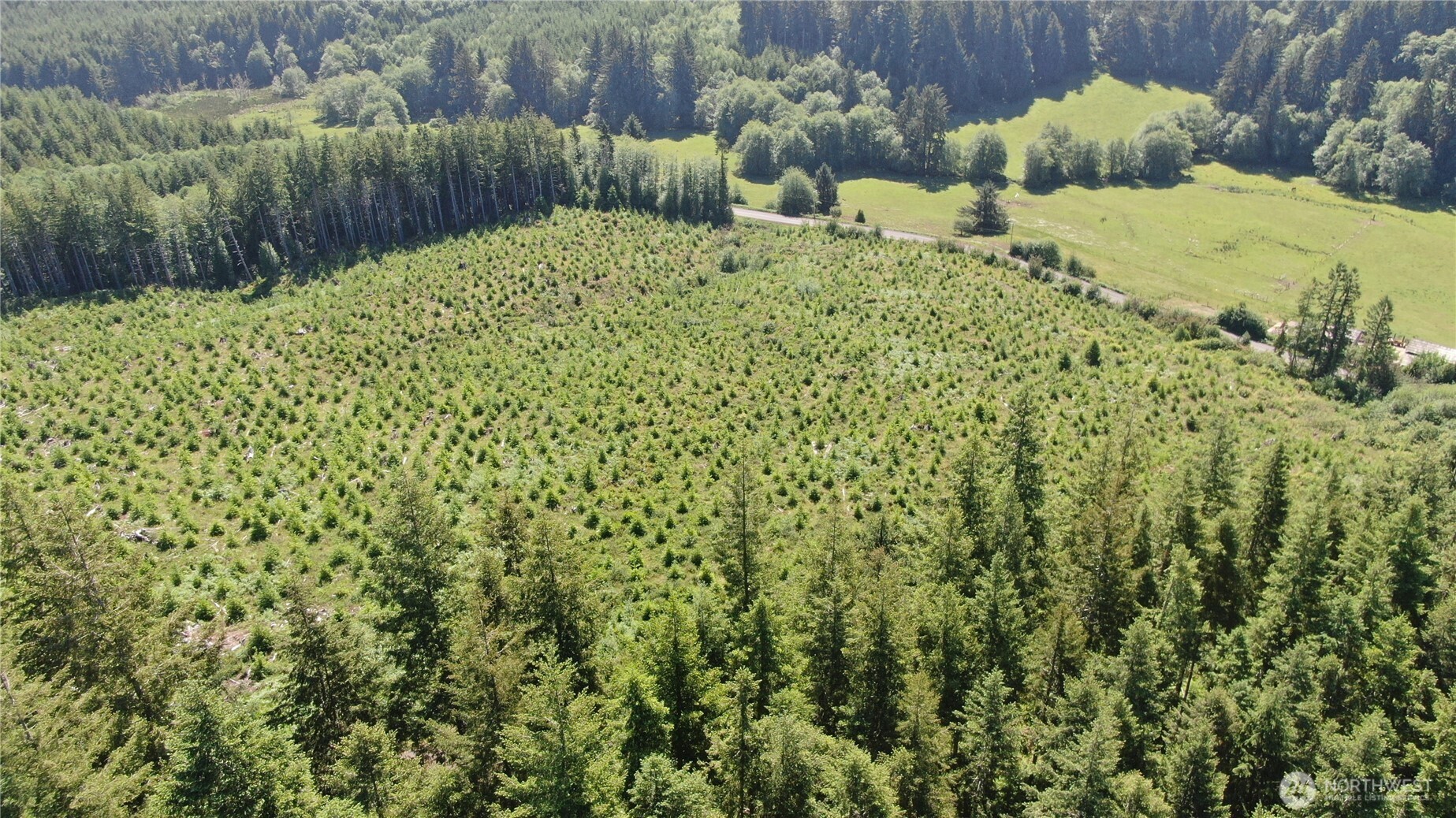 0 Butte Creek Road Raymond, WA 98577 - Photo 4 of 11 a view of a backyard of the house