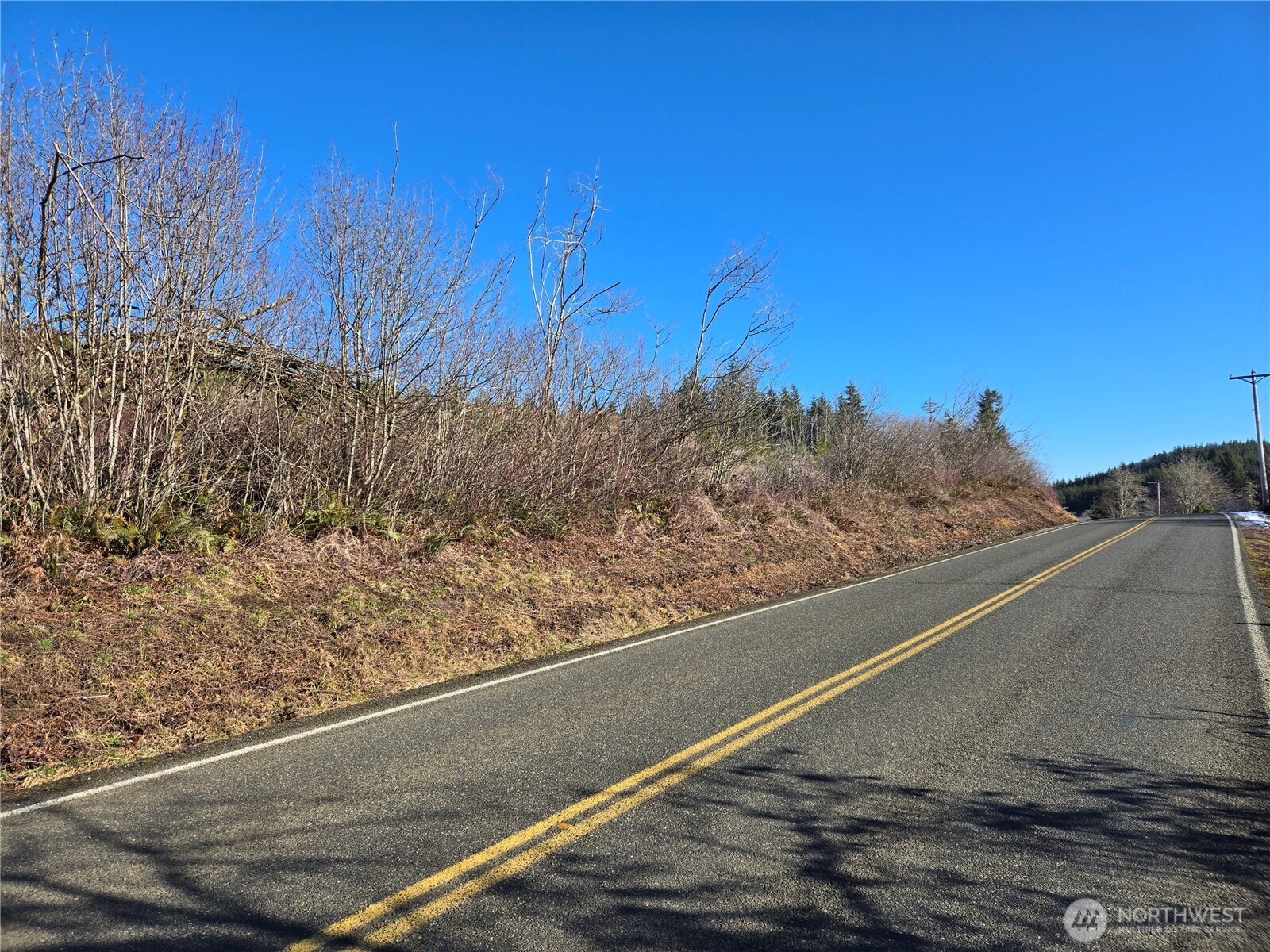 0 Butte Creek Road Raymond, WA 98577 - Photo 6 of 11 a view of a yard with mountain view