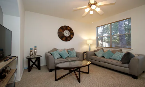 a living room with furniture a rug and a window