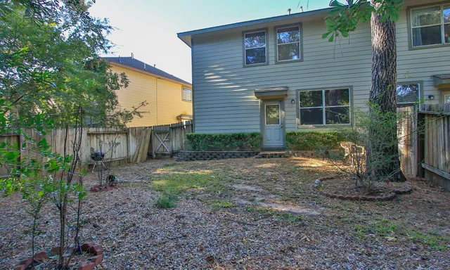 a view of a backyard with plants and large tree