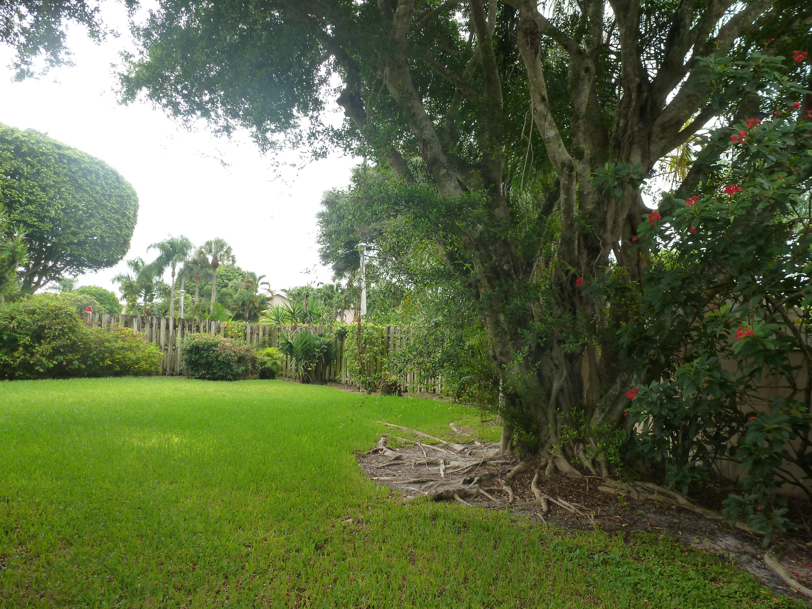 7460 Andorra Place Boca Raton, FL 33433 - Photo 3 of 15 FENCED IN LOT