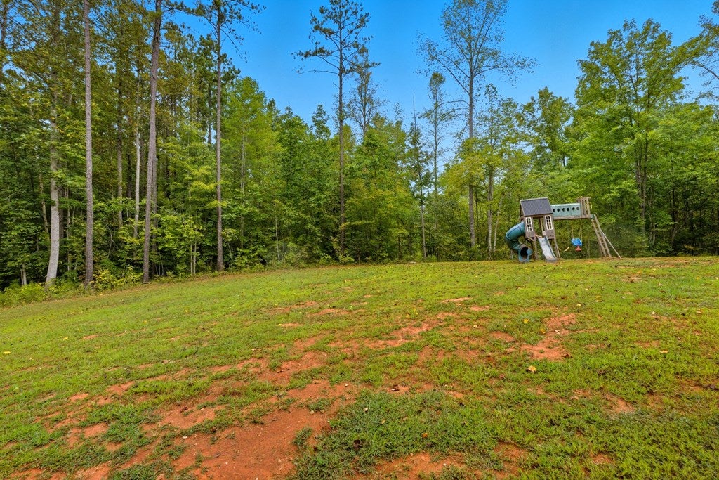 2057 Old Peach Tree Road Green Bay, VA 23942 - Photo 29 of 41 Gallery Image 29