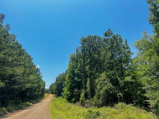 $49,000 | 6 North Bayou Road, Hemphill, TX 75948