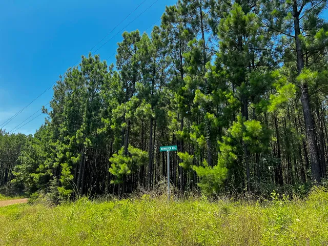 $49,000 | 6 North Bayou Road, Hemphill, TX 75948