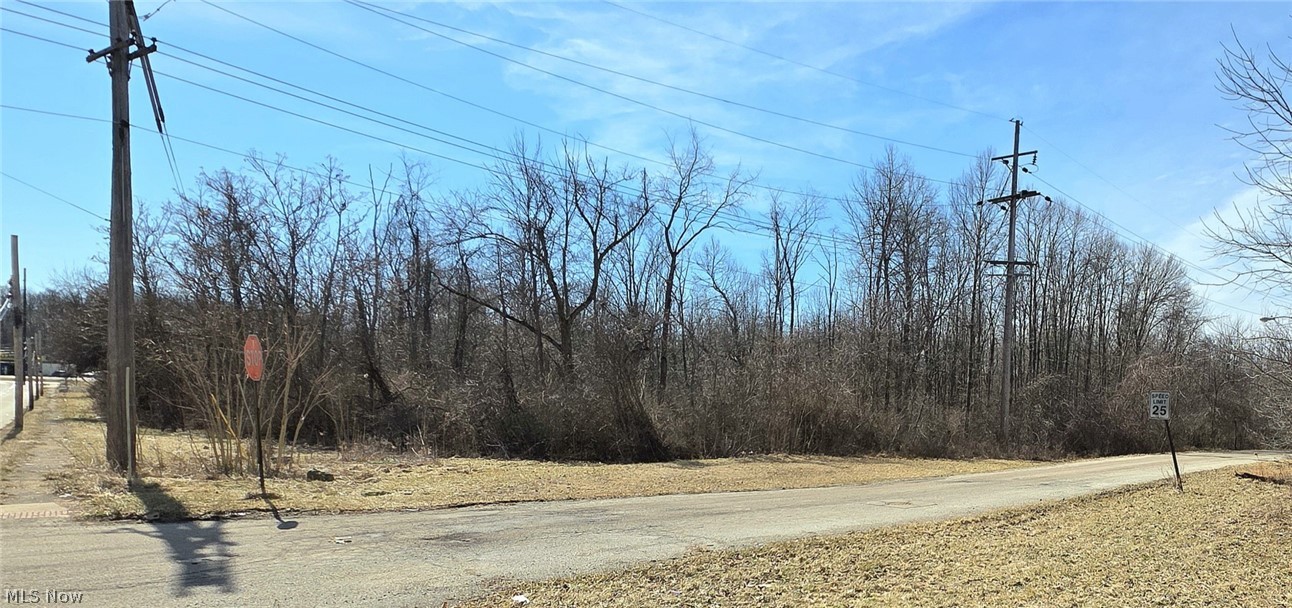 1251 Jacobs Road Youngstown, OH 44505 - Photo 5 of 6 Wooded lot