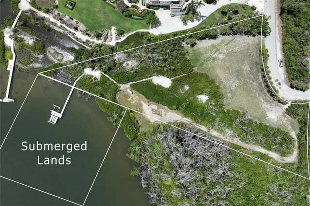 a view of a back yard of the tree