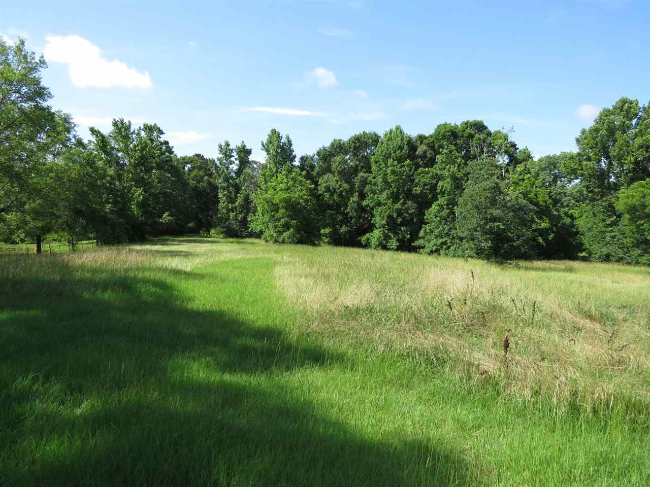 1205 McCluer Road Jackson, MS 39212 - Photo 7 of 15 Photo 7