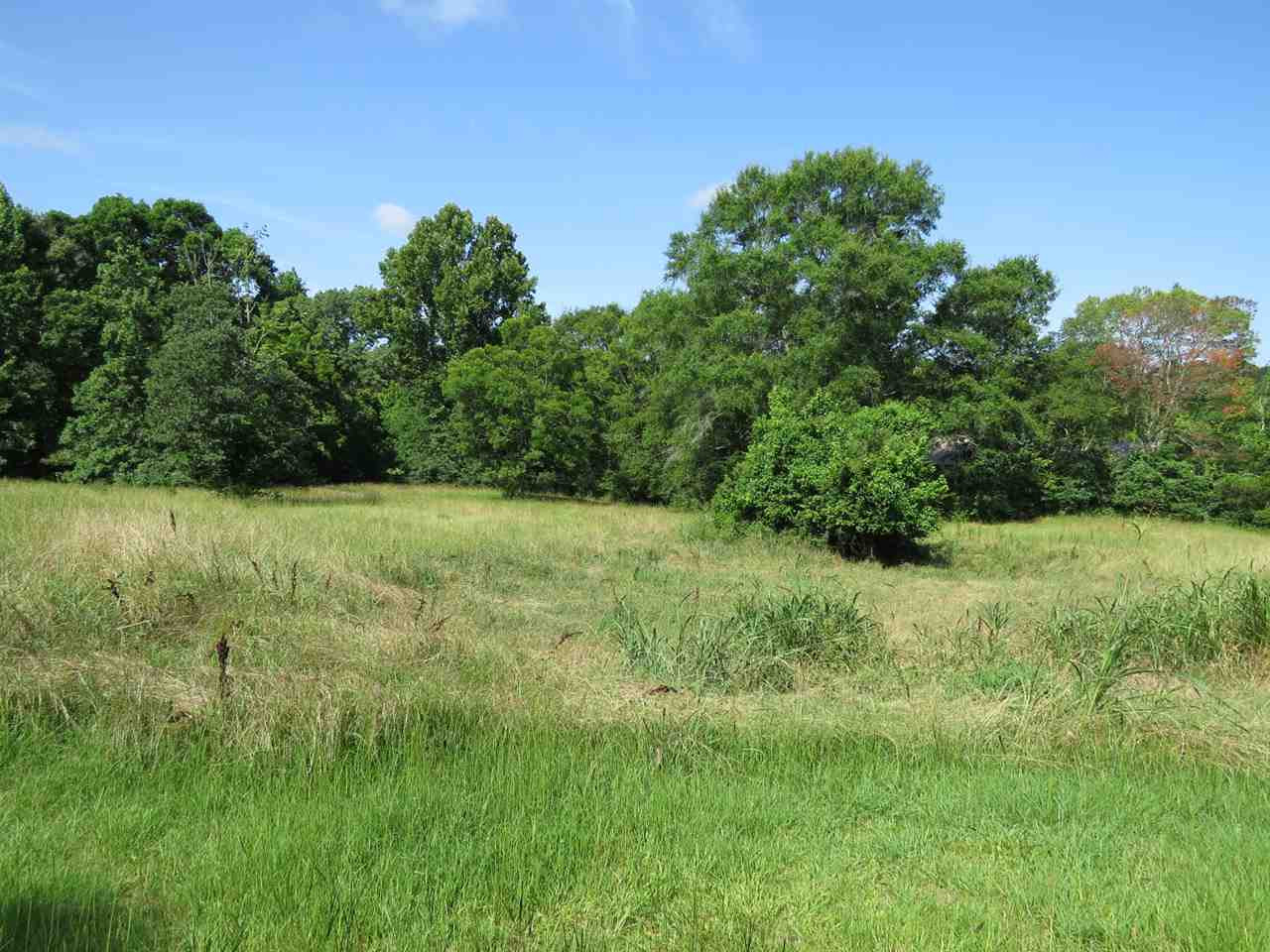 1205 McCluer Road Jackson, MS 39212 - Photo 8 of 15 Photo 8