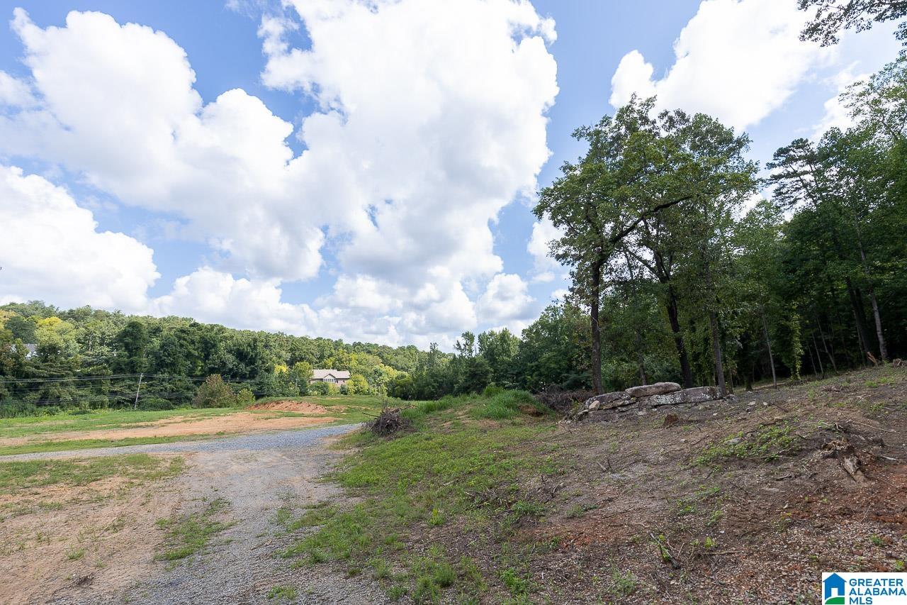 1080 Grants Mill Road Birmingham, AL 35210 - Photo 10 of 11
