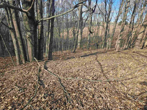 $12,000 | Lot 954 Hidden Springs, La Valle, WI 53941