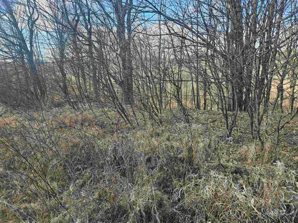 $12,000 | Lot 954 Hidden Springs, La Valle, WI 53941