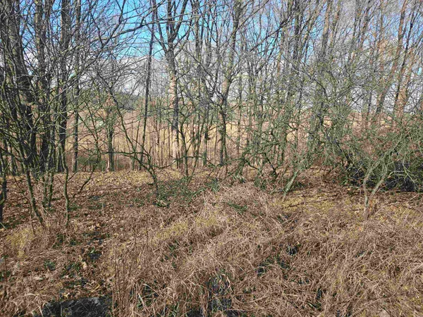 $12,000 | Lot 954 Hidden Springs, La Valle, WI 53941