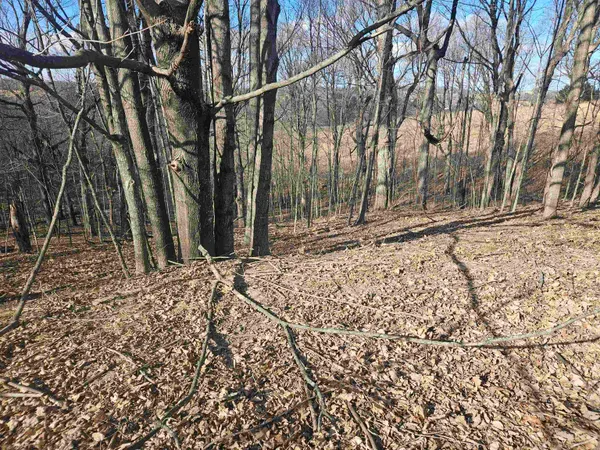 $12,000 | Lot 954 Hidden Springs, La Valle, WI 53941