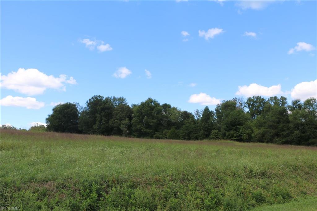 166 Oak Level Road Stanleytown, VA 24168 - Photo 14 of 20 Gallery Image 14